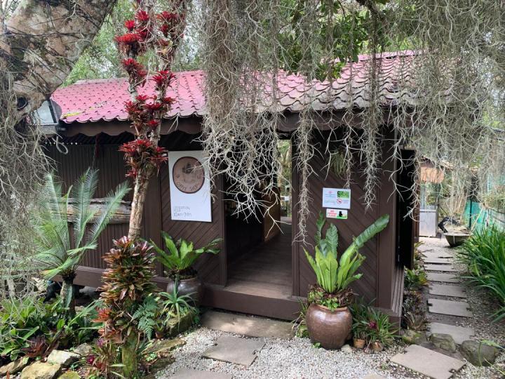 Jungle Coffee Shop